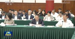 特大国的编程智能体曾经实现了批量、全从动、
